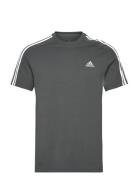 M 3S Sj T Sport T-Kortærmet Skjorte Grey Adidas Sportswear