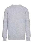 Jjebradley Sweat Crew Noos Jnr Tops Sweatshirts & Hoodies Sweatshirts Grey Jack & J S