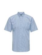 Onsremy Ss Slim Wash Stripe Oxford Shirt Tops Shirts Short-sleeved Blue ONLY & SONS