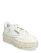 Club C Extra Sport Sneakers Low-top Sneakers Beige Reebok Classics