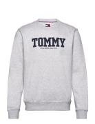 Tjm Reg Tj Dna Front Back Cneck Tops Sweatshirts & Hoodies Sweatshirts Grey Tommy Jeans
