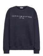 Crv Mdrn Reg Corp Logo Swtshrt Tops Sweatshirts & Hoodies Sweatshirts Blue Tommy Hilfiger