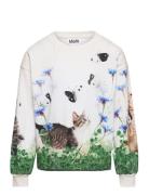 Reniza Tops Sweatshirts & Hoodies Sweatshirts Multi/patterned Molo