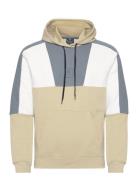 Hooded Sweatshirt Sport Sweatshirts & Hoodies Hoodies Beige Champion