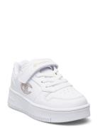 Rebound Platform Glitter G Ps Low Cut Shoe Sport Sneakers Low-top Sneakers White Champion