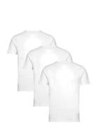 Bs Antiqua Regular Fit T-Shirt Tops T-Kortærmet Skjorte White Bruun & Stengade