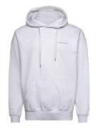 Heavyweight Organic Logo Hoodie - Ash Tops Sweatshirts & Hoodies Hoodies Grey S.T. VALENTIN