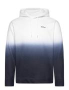 Hco. Guys Sweatshirts Tops Sweatshirts & Hoodies Hoodies White Hollister