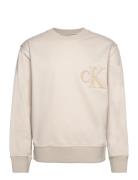 Ck Chenille Crew Neck Tops Sweatshirts & Hoodies Sweatshirts Cream Calvin Klein Jeans