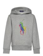 Big Pony Fleece Hoodie Tops Sweatshirts & Hoodies Hoodies Grey Ralph Lauren Kids