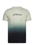 Hco. Guys Graphics Tops T-Kortærmet Skjorte Green Hollister