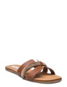 Edriah Sandal  Flade Sandaler Brown Steve Madden