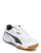 Solarflash Jr Ii Sport Sports Shoes Running-training Shoes White PUMA