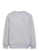 Sweatshirts Sport Sweatshirts & Hoodies Sweatshirts Grey Lacoste