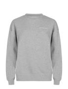 Iconic Sweatshirt Sport Sweatshirts & Hoodies Sweatshirts Grey Röhnisch