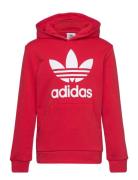 Trefoil Hoodie Sport Sweatshirts & Hoodies Hoodies Red Adidas Originals