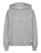 Studio Over D Hoodie Tops Sweatshirts & Hoodies Hoodies Grey Björn Borg