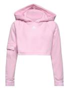 Jg D Crpd Hdy Sport Sweatshirts & Hoodies Hoodies Pink Adidas Performance