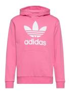Trefoil Hoodie Sport Sweatshirts & Hoodies Hoodies Pink Adidas Originals