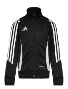 Tiro24 Trjkty Sport Sweatshirts & Hoodies Sweatshirts Black Adidas Performance