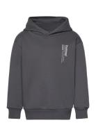 Hmldante Hoodie Sport Sweatshirts & Hoodies Hoodies Grey Hummel