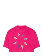 Adicolor Cropped Tee Sport T-Kortærmet Skjorte Pink Adidas Originals