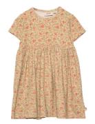 Dress Nova Dresses & Skirts Dresses Baby Dresses Short-sleeved Baby Dresses Multi/patterned Wheat