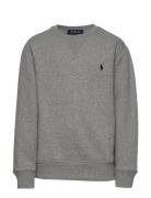 Fleece Sweatshirt Tops Sweatshirts & Hoodies Sweatshirts Grey Ralph Lauren Kids
