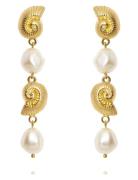 Shell Pearl Earrings Ørestickere Smykker Gold Caroline Svedbom