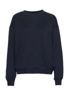 Sweatshirt Tops Sweatshirts & Hoodies Sweatshirts Blue Filippa K