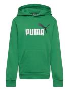 Ess+ 2 Col Big Logo Hoodie Fl B Sport Sweatshirts & Hoodies Hoodies Green PUMA