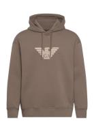 Sweatshirt Designers Sweatshirts & Hoodies Hoodies Brown Emporio Armani