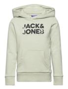 Jjembro Palm Sweat Hood Jnr Tops Sweatshirts & Hoodies Hoodies Green Jack & J S