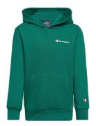 Hooded Sweatshirt Sport Sweatshirts & Hoodies Hoodies Green Champion