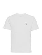 Cotton Jersey Crewneck Tee Tops T-Kortærmet Skjorte White Ralph Lauren Kids