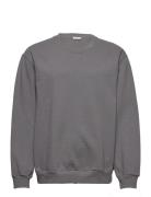 M. Cedric Sweatshirt Designers Sweatshirts & Hoodies Sweatshirts Grey Filippa K