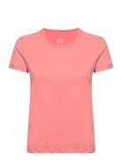 Essential Mesh Detail Tee Sport T-shirts & Tops Short-sleeved Coral Casall