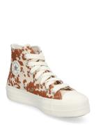 Chuck Taylor All Star Lift High-top Sneakers Brown Converse