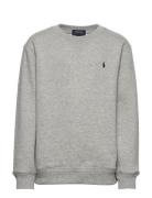 Fleece Sweatshirt Tops Sweatshirts & Hoodies Sweatshirts Grey Ralph Lauren Kids