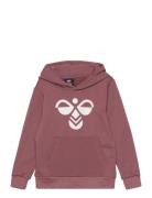 Hmlcuatro Hoodie Sport Sweatshirts & Hoodies Hoodies Burgundy Hummel