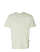 Slhaspen Mini Str Ss O-Neck Tee Noos Tops T-Kortærmet Skjorte Cream Selected Homme