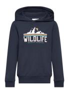 Nkmvugo Ls Sweat Wh Bru O1 Tops Sweatshirts & Hoodies Hoodies Navy Name It