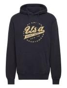 Gant Usa Hoodie Tops Sweatshirts & Hoodies Hoodies Blue GANT