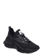 Match Sneaker Low-top Sneakers Black Steve Madden