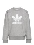 Trefoil Crew Tops Sweatshirts & Hoodies Sweatshirts Grey Adidas Originals