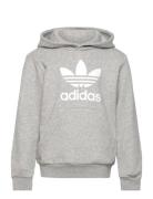 Trefoil Hoodie Tops Sweatshirts & Hoodies Hoodies Grey Adidas Originals