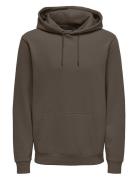 Onsceres Hoodie Sweat Noos Tops Sweatshirts & Hoodies Hoodies Brown ONLY & SONS