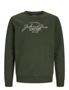 Jjferris Sweat Crew Neck Jnr Tops Sweatshirts & Hoodies Sweatshirts Green Jack & J S