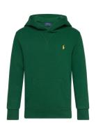 Fleece Hoodie Tops Sweatshirts & Hoodies Hoodies Green Ralph Lauren Kids