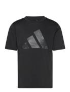 J Tr-Es Pri T Sport T-Kortærmet Skjorte Black Adidas Sportswear